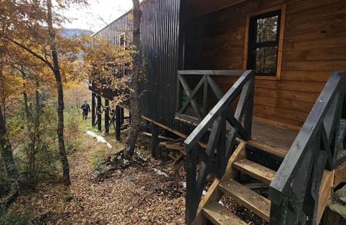 Malalcahuello Ski Chalet | BordeArroyo Malalcahuello