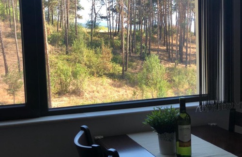 Velingrad Apartment | Borov park 2