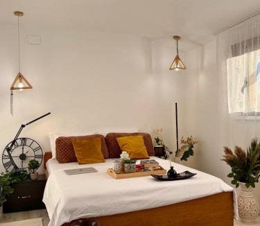 Iasi Villa | Botanic Villa Family- cozy&elegant - 4 rooms - 3 bedrooms - factura&vocheredevacanta - 8 oaspeti