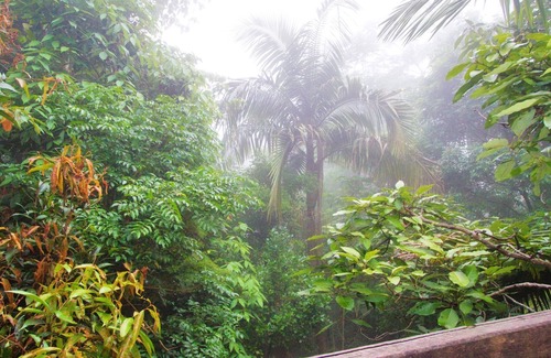 England Creek Cottage | Bowerbird: Mt Glorious Getaways