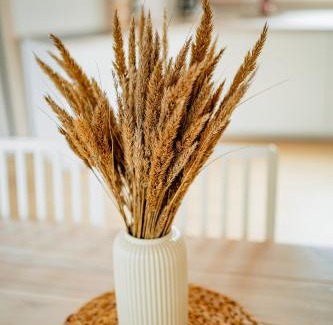 Baltic Sea Apartment | Brīvdienu māja Joki, Apartamenti Nr.1