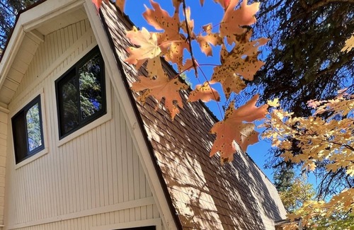 Midway Cabin | Brand New Cabin in the Beautiful Utah Mountains