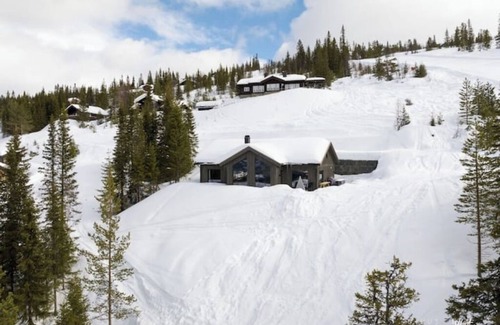 Nes Cabin | Brattlia - amazing ski inn/ski out. 10 m from slopesnn