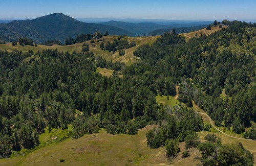 Willits Apartment | Breathtaking, Zen meditation studio in the mountains.