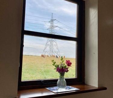 Kneesall Apartment | Brecks Cottage
