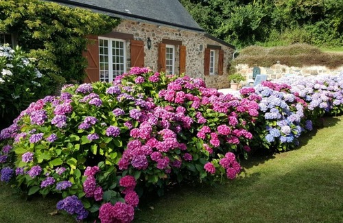 Pleubian House | Breton house full of character, in a calm area, surrounded by greenery