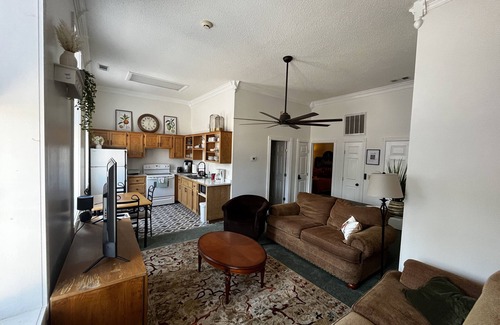 Mammoth Spring Apartment | Brickhaven Loft on Historic Main Street - walk to Spring River, State Park, more
