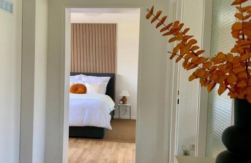 Ludwigshafen-Friesenheim Apartment | Bright 2BR Family-friendly Home -BASF - Free Parking - Super Fast WIFI