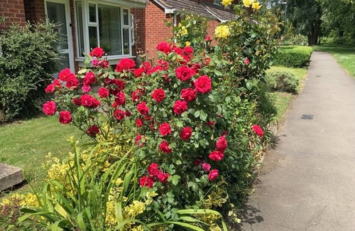 Frampton on Severn House | Bright an airy with a luxury Super King bed and a beautiful cottage garden.