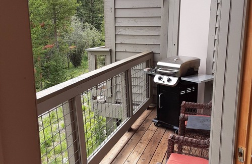 Wildernest Condo | Bright and sunny mountain condo - ALL are welcome!