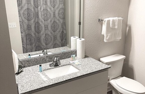Lansing Apartment | Bright Comfy Getaway close to MSU