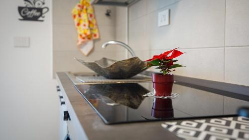 La Taulera Apartment | Brisa Blanca