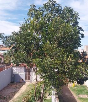 Cidade Nova House | Brisa da Laguna