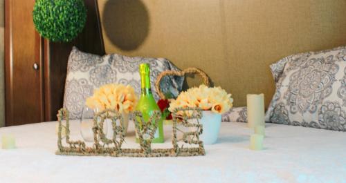 Bejucos House | Brisas de Isabela Cozy Glamper 1