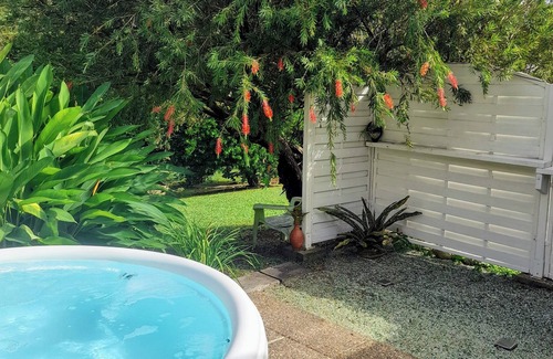 Sainte-Marie Apartment | Bromeliads at Djo and Rosy's
