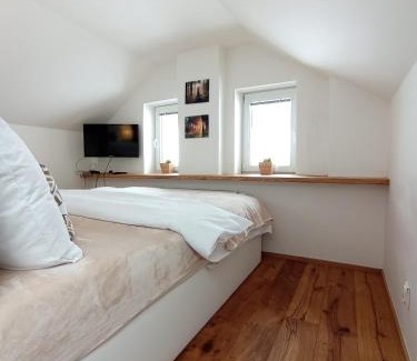 Vrbno pod Pradedem Apartment | Brunetti Apartmány Jeseníky
