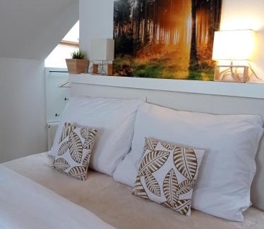 Vrbno pod Pradedem Apartment | Brunetti Apartmány Jeseníky
