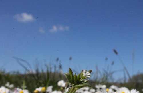 Maenclochog Bed & Breakfast | Brynhaul Bed and Breakfast