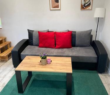 Milkow House | Bryziówka B