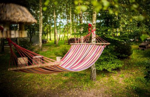 Glowczyce Bed & Breakfast | Brzozowy Gaj