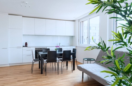 Basel City Centre Apartment | BS Owl III - Messe HITrental Apartment