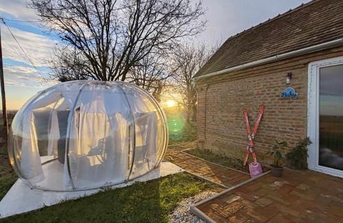 Szigetvar Apartment | Buby - végtelenbe és tovább