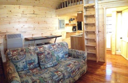Frank Cabin | Buck Hill Tiny Home Cabin #3 Mountain & Pond Views