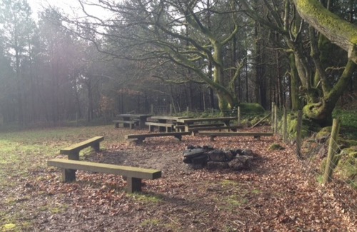 Staunton Cabin | Buckstone Log Cabin with Private Grounds Nestled Into The Natural Woodland