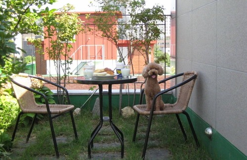 Yeonhui-dong Apartment | Budget/cute place in Hongdae&Yoennamdong