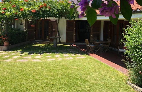 Caldas de Vizela House | Buganvilia House - Dream House in Vizela