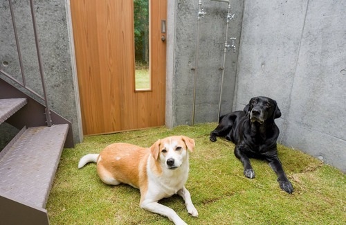 Kominato Onsen House | Building A Pets allowed SuiteWith pool terrace and sauna/Kamogawa City Chiba