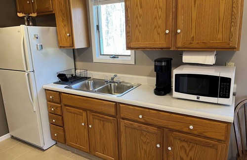 Evart Cabin | Bullfrog Bunkhouse 2-bedroom cabin near Evart at Hicks Lake