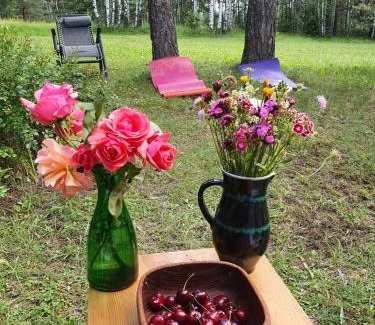 Divcibare Ski Chalet | Bungalov Zahej Divčibare