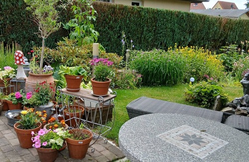 Zirkow House | Bungalow for 2 guests with 28m² in Zirkow (296736)