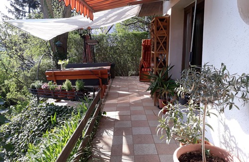 Quedlinburg House | Bungalow on the outskirts with terrace under mature trees