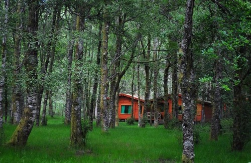 Melgaco House | Bungalow in the middle of nature in the Peneda-Gerês National Park.