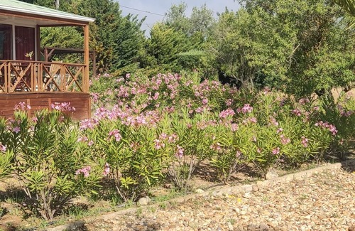 Albufeira House | Bungalow with pool, gardens and lake.