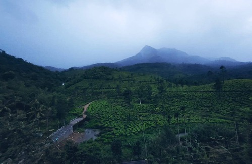 Kottappadi part Hotel | Bungalow with Tea Garden View