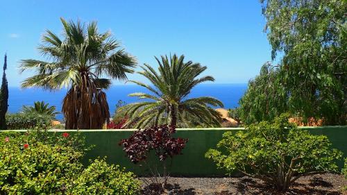 Tazacorte House | Bungalows El Paradiso