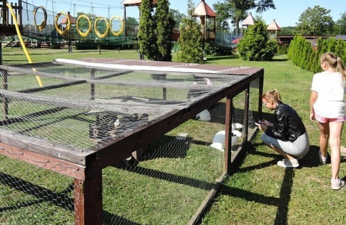 Wrzosowo House | Bungalows in Wrzosowo - The Bird's Cage for 4 persons