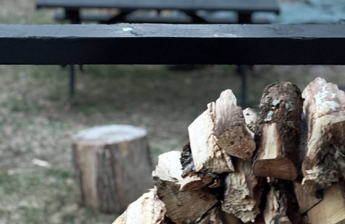 Oliverea Cabin | Bunkhouse 38: Serene Wilderness Retreat near Esopus Creek
