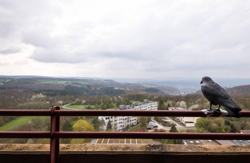 Lahnstein auf der Hohe Apartment | Burgblick (A1110) by Interhome
