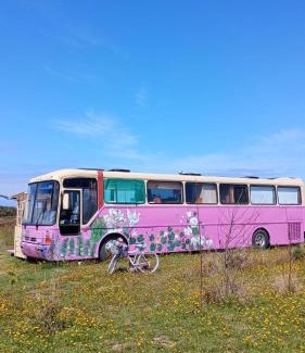 Chamiza Apartment | Bus Casa en observatorio de aves