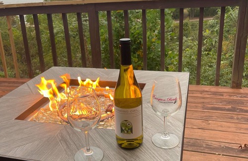 Spring Grove House | Busch Gardens-Williamsburg-Fishing-Cornhole-Deck-River View- FIRE TABLE!