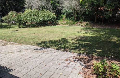 Charlotte House | Business/Family friendly close to uptown and airport