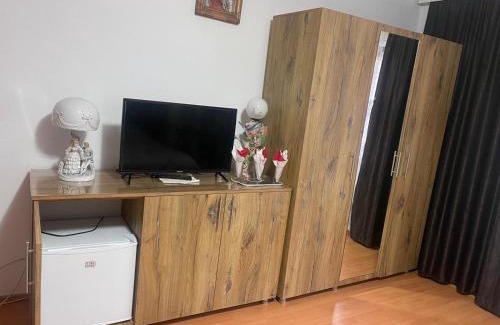 Baile Herculane Apartment | Butoianu Spate I