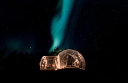 Selfoss Other | Buubble Hotel - Ölvisholt