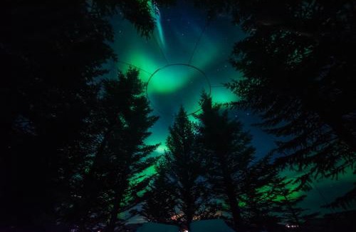 Selfoss Other | Buubble Hotel - Ölvisholt