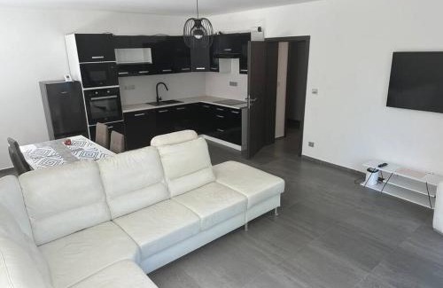 Nedvezi u Rican Apartment | Byt 71m2 klid pohoda a příroda