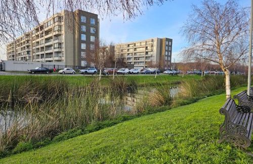 Concepcion Apartment | Cómodo departamento en Brisa del Sol